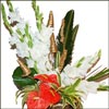 Special Wishes - Click here to View more details about this Product